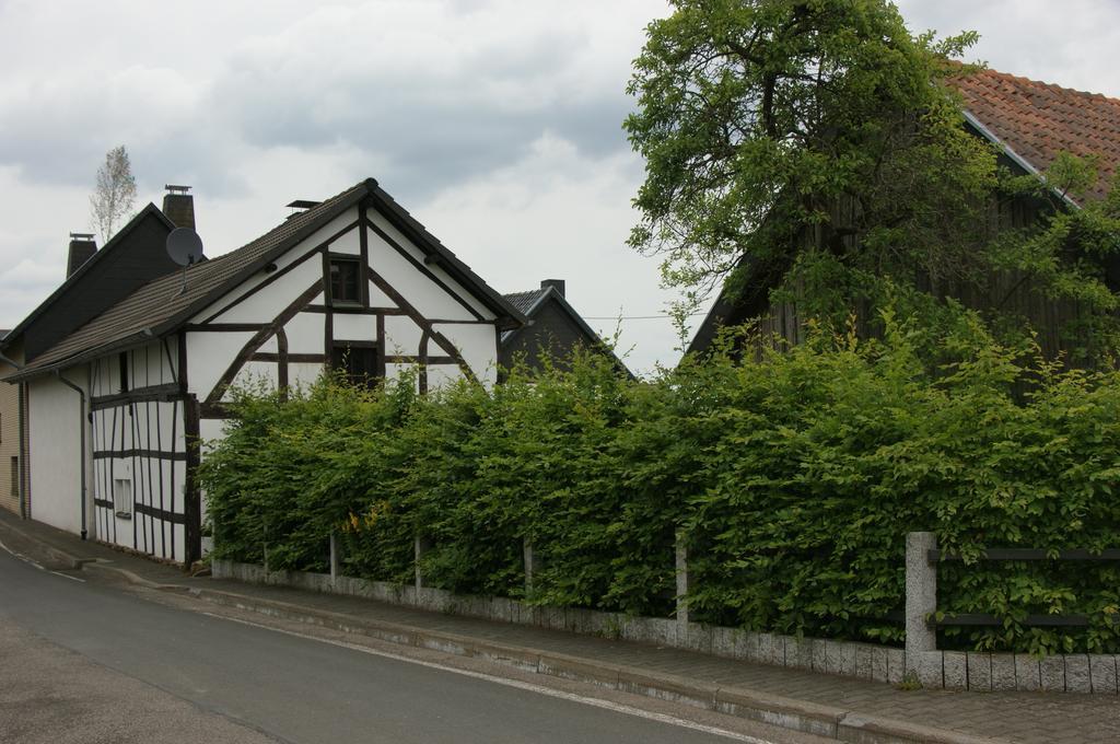 Authentiek Eifelhuis Villa Hecken Cameră foto